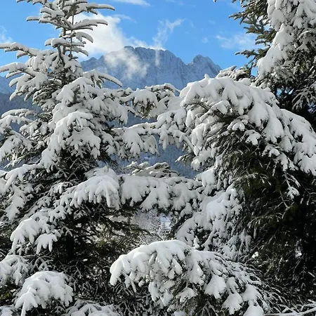 Kwatera Górska 903mnpm * Zakopane